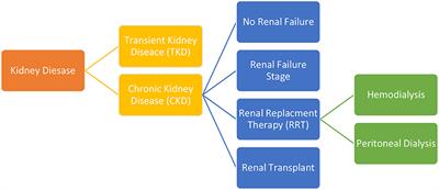 Social Networks and Mobile Applications Use in Young Patients With Kidney Disease